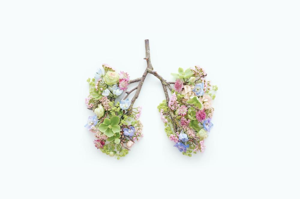 Ноябрь — месяц повышения осведомленности о раке легкого